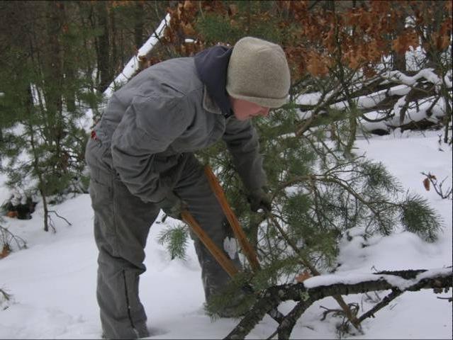 Invasive species removal